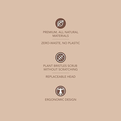 Ergonomic All-Natural Dish Brush Say Goodbye to Mess