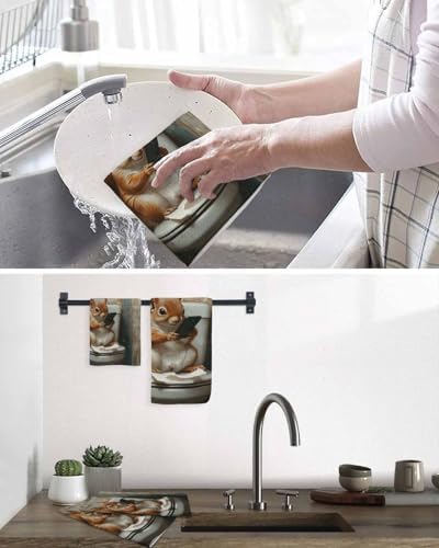 Funny Squirrel Kitchen Towel Set 3 Pieces