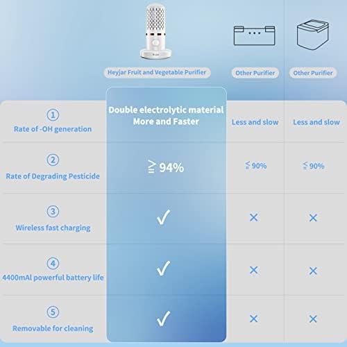 Spotless Fruit Vegetable Cleaner with OH-Ion Technology