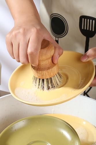 Coconut Fiber Bamboo Dish Scrub Brush Set of 3