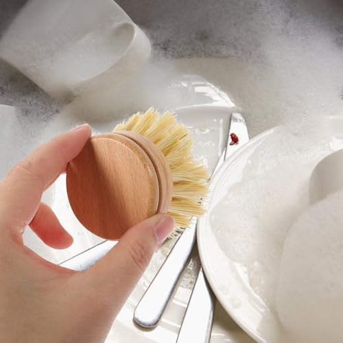 Compact Dish Brush for Scrubbing Dishes and Vegetables