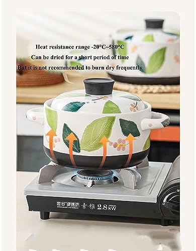 Versatile Gas Steamer and Casserole Pot