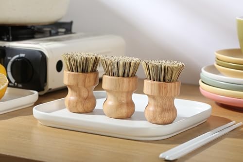 Coconut Fiber Bamboo Dish Scrub Brush Set of 3