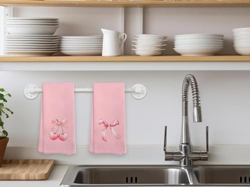 Preppy Kitchen Towels Set of 4 Pink Cherry Decor