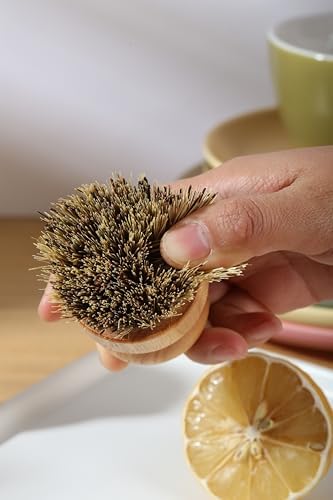 Coconut Fiber Bamboo Dish Scrub Brush Set of 3