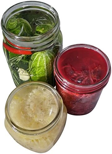6-Piece Set of Unique Glass Fermentation Weights for Mason Jars