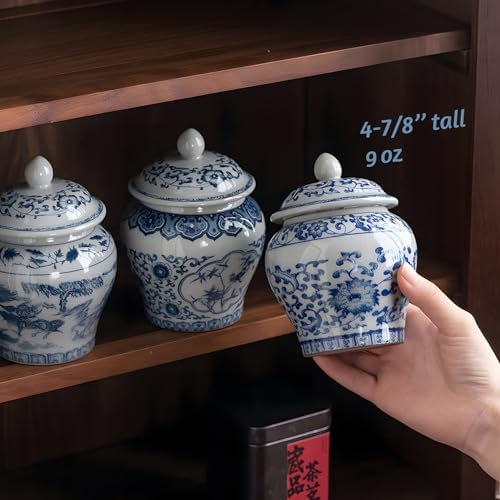 9oz Porcelain Canister Elegant Chinese Design