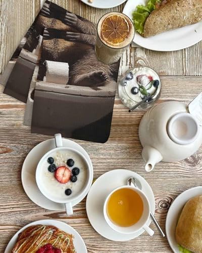 Funny Raccoon Waffle Kitchen Towels Set - 3 in Brown