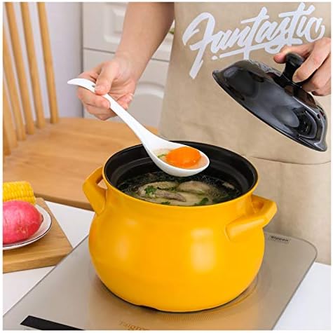 5L Earthenware Cookware Pot