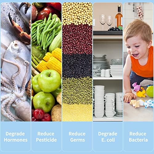 Spotless Fruit Vegetable Cleaner with OH-Ion Technology