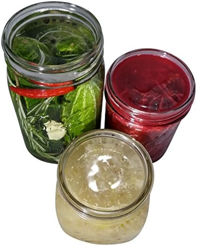 6-Piece Set of Unique Glass Fermentation Weights for Mason Jars