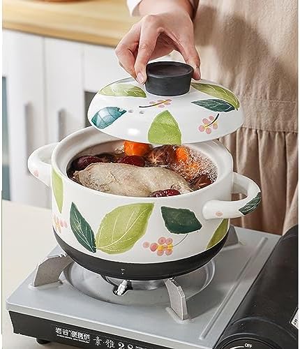 Versatile Gas Steamer and Casserole Pot