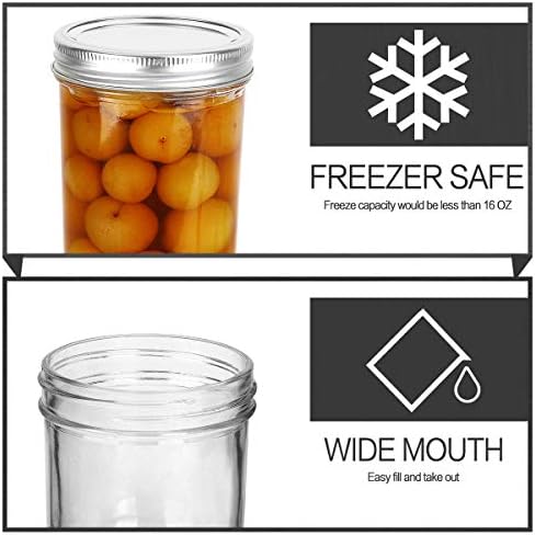 12 Pack Mason Jars Perfect for Jam Honey